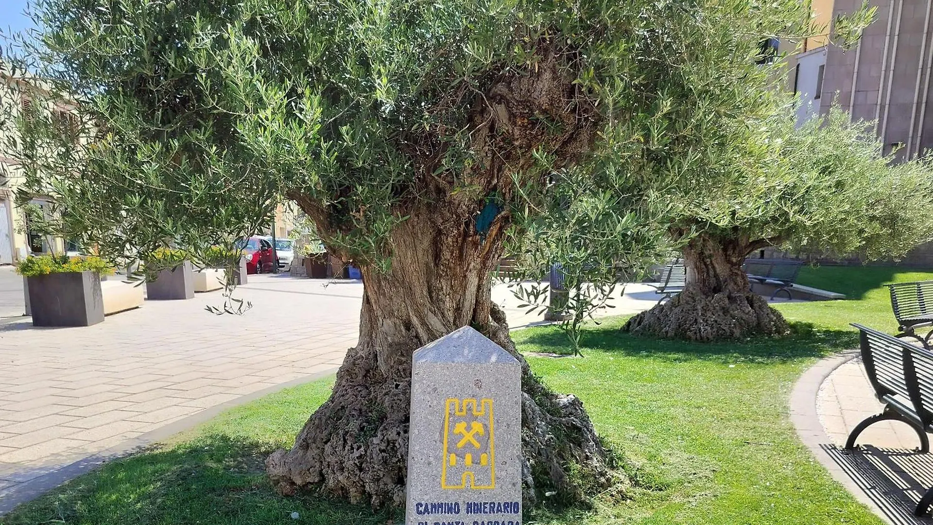 L'Oasi Di Angela2 Daire San Giovanni Suèrgiu